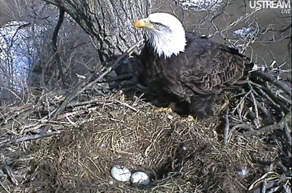 ScreenHunter_02 Feb. 22 14.30.jpg